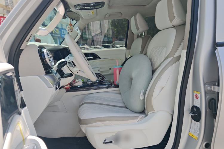 Used Tank 300  Left Front Seat