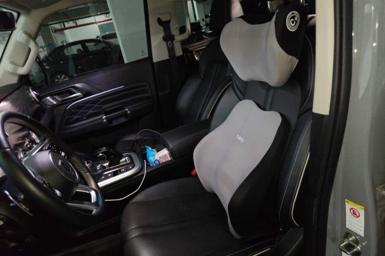 Used Tank 300 2021 City Edition 2.0T—Truly Stylish Left Front Seat