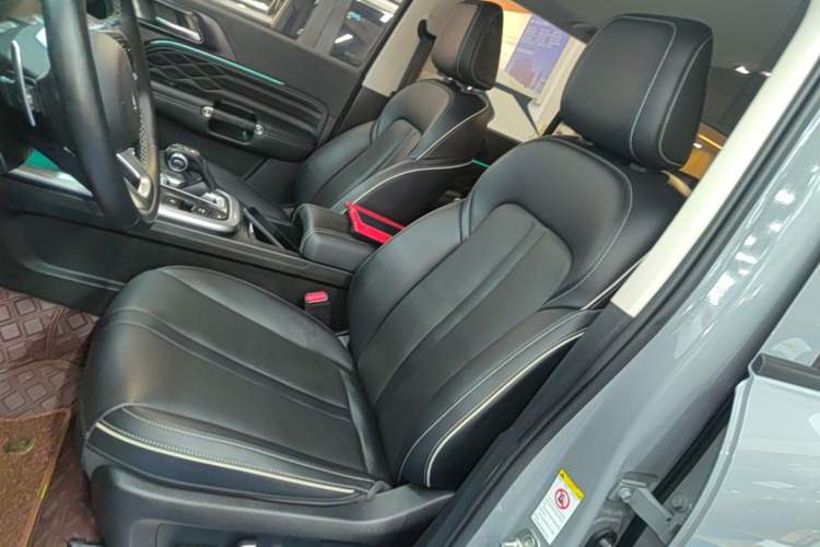 Used Tank 300 2021 Off-Road Edition 2.0T Conqueror Left Front Seat