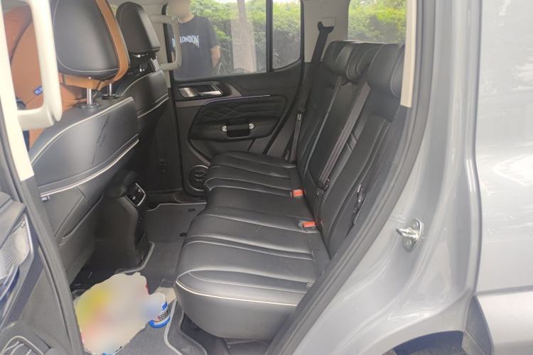 Used Tank 300 2021 Off-Road Edition 2.0T Conqueror Left Rear Seat