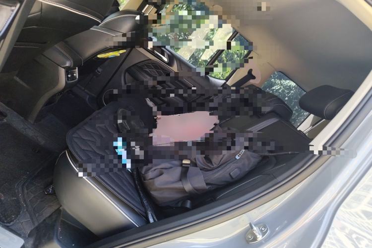 Used Tank 300 2021 Off-Road Edition 2.0T Conqueror Left Rear Seat
