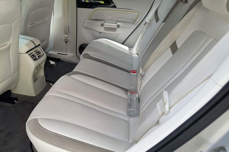 Used Tank 300  Left Rear Seat