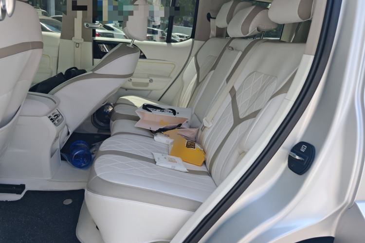 Used Tank 300  Left Rear Seat