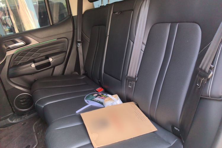 Used Tank 300 2021 City Edition 2.0T—Truly Stylish Left Rear Seat
