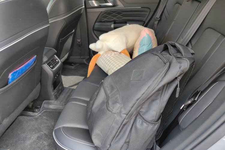Used Tank 300 2021 Off-Road Edition 2.0T Conqueror Left Rear Seat