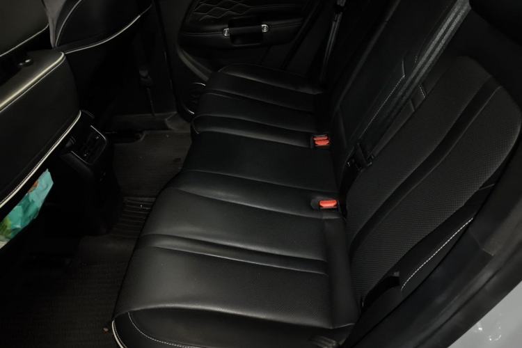Used Tank 300 2021 Off-Road Edition 2.0T Conqueror Left Rear Seat