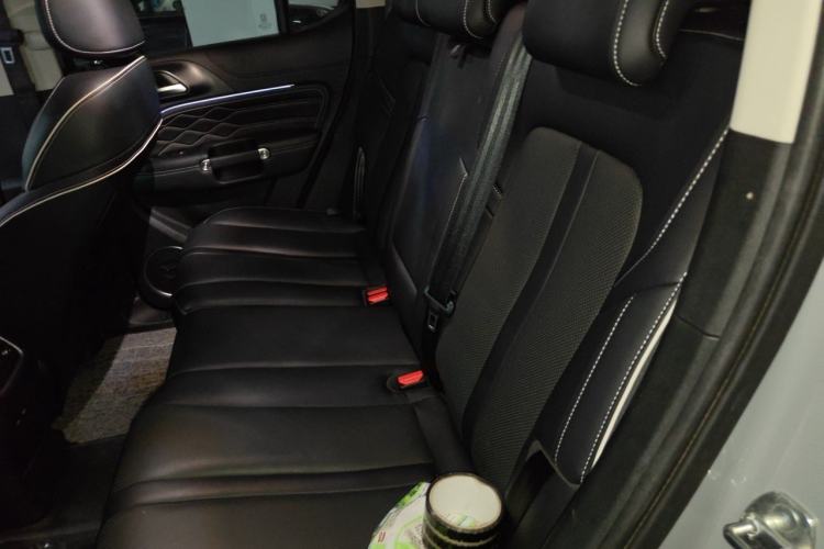 Used Tank 300 2021 City Edition 2.0T—Truly Stylish Left Rear Seat