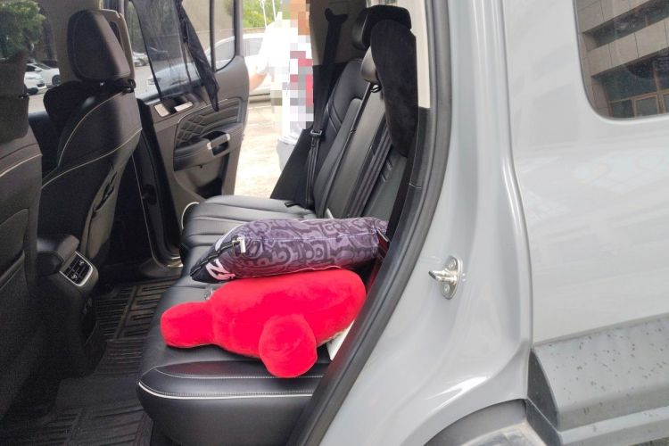 Used Tank 300 2021 Off-Road Edition 2.0T Conqueror Left Rear Seat