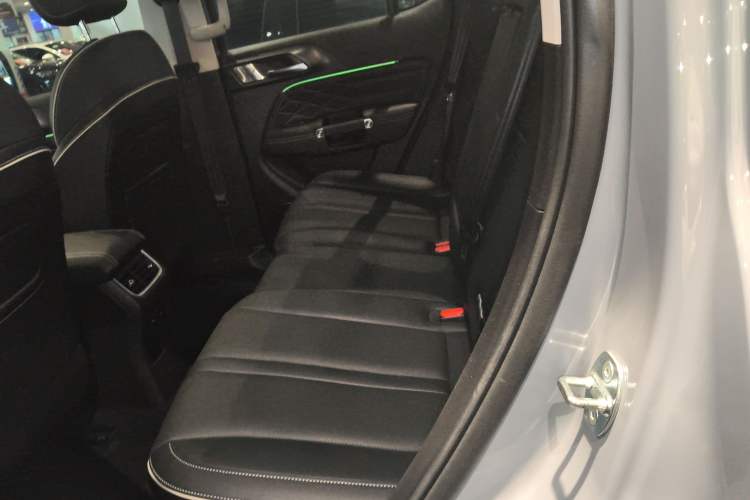 Used Tank 300 2021 City Edition 2.0T—Truly Stylish Left Rear Seat
