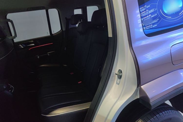 Used Tank 300 2021 City Edition 2.0T—Truly Stylish Left Rear Seat