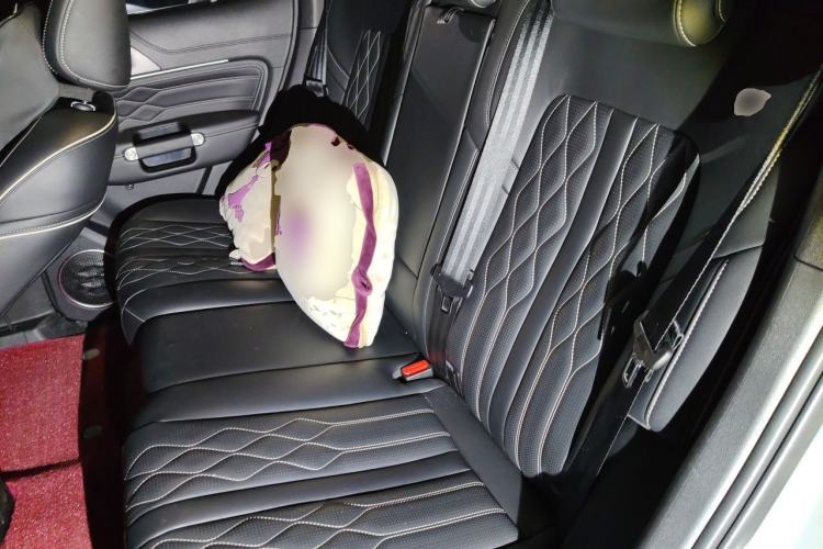 Used Tank 300 2021 City Edition 2.0T My Vision Model Left Rear Seat