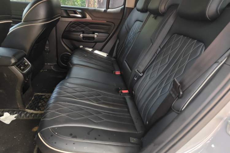Used Tank 300 2021 Off-Road Edition 2.0T Challenger Left Rear Seat