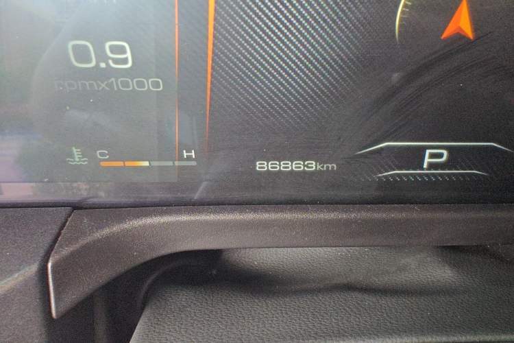 Used Tank 300 2021 Off-Road Edition 2.0T Challenger Odometer Close Up