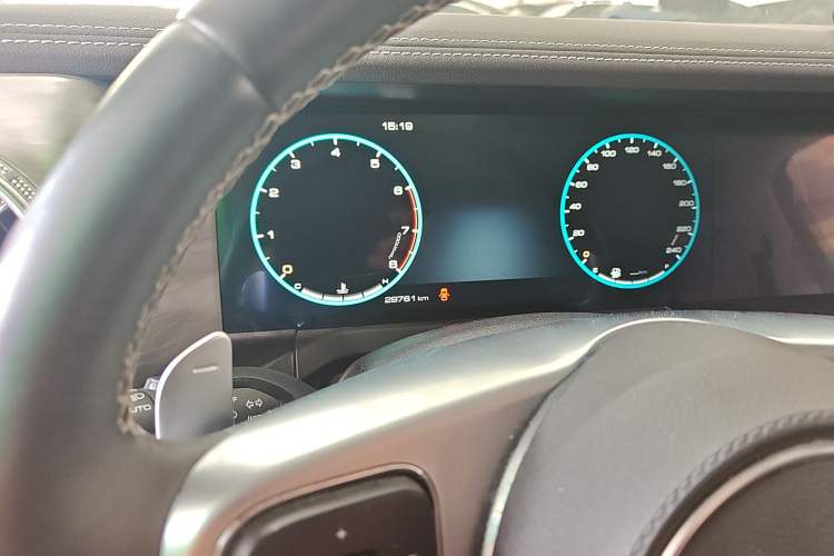 Used Tank 300 2021 City Edition 2.0T—Truly Stylish Odometer Close Up