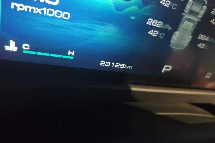 Used Tank 300 2021 Off-Road Edition 2.0T Challenger Odometer Close Up