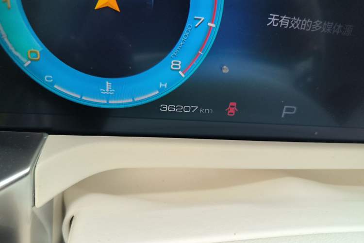 Used Tank 300  Odometer Close Up