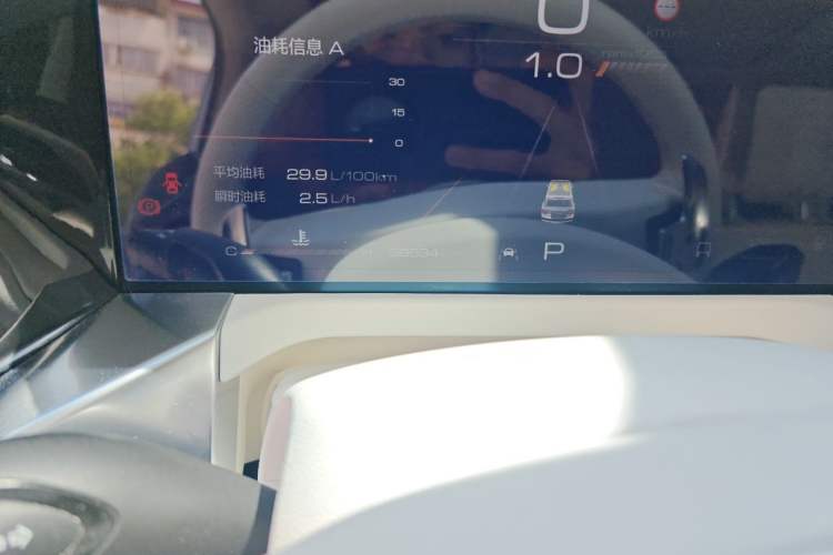 Used Tank 300  Odometer Close Up