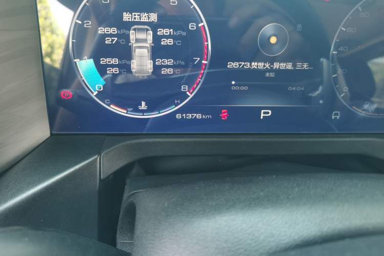 Used Tank 300 2021 Off-Road Edition 2.0T Conqueror Odometer Close Up