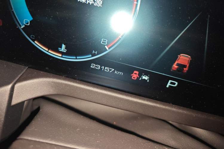 Used Tank 300 2021 Off-Road Edition 2.0T Conqueror Odometer Close Up