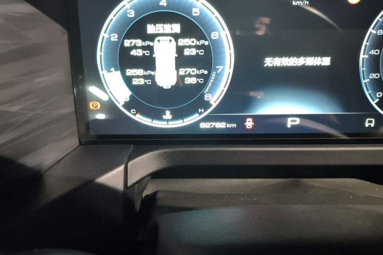 Used Tank 300 2021 Off-Road Edition 2.0T Conqueror Odometer Close Up