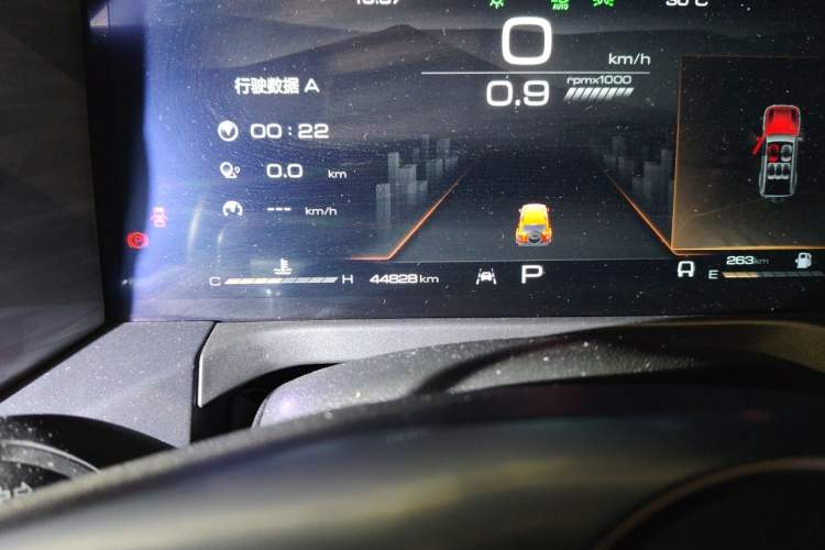 Used Tank 300 2021 City Edition 2.0T My Vision Model Odometer Close Up