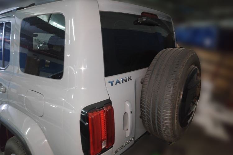 Used Tank 300 2021 City Edition 2.0T—Truly Stylish Rear