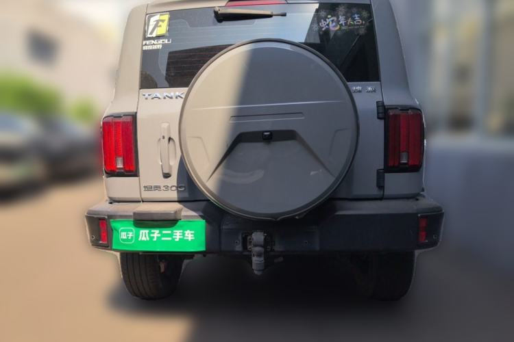 Used Tank 300 2021 City Edition 2.0T—Truly Stylish Rear
