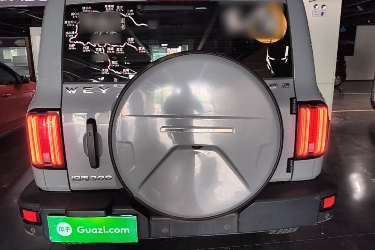 Used Tank 300 2021 Off-Road Edition 2.0T Conqueror Rear