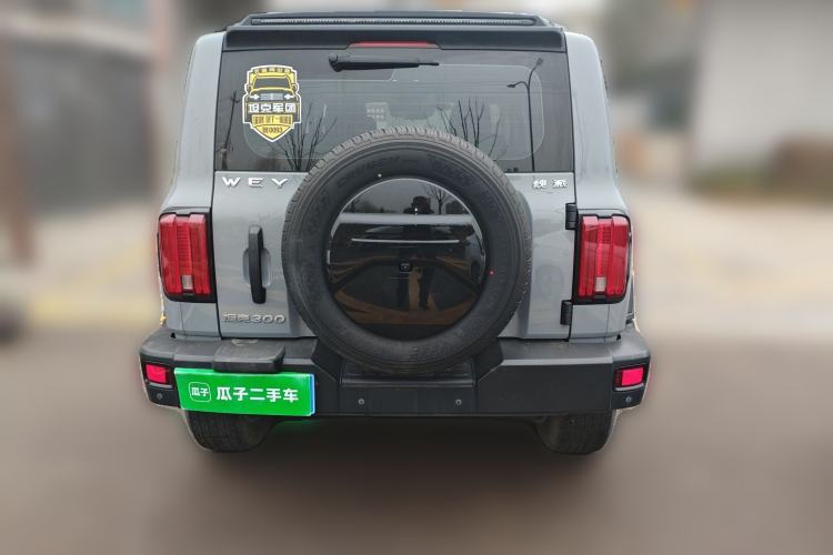 Used Tank 300 2021 Off-Road Edition 2.0T Conqueror Rear
