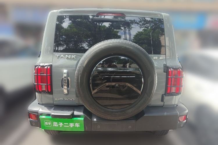 Used Tank 300 2021 City Edition 2.0T Essential Model Rear