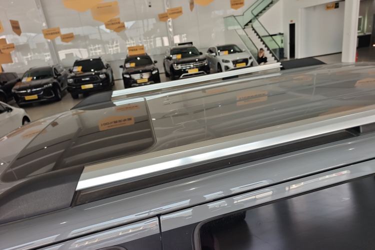 Used Tank 300 2021 City Edition 2.0T—Truly Stylish Roof