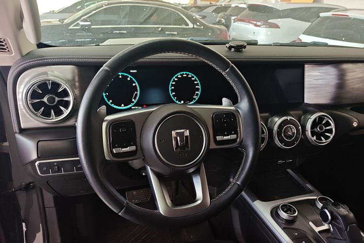 Used Tank 300 2021 City Edition 2.0T—Truly Stylish Steering Wheel