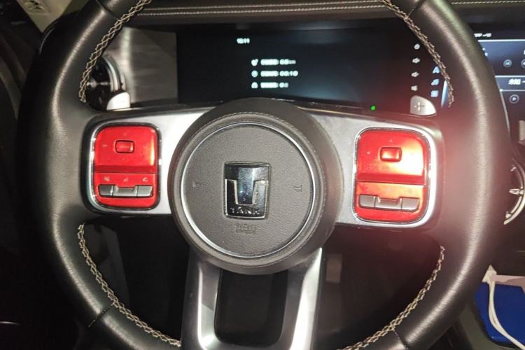 Used Tank 300 2021 City Edition 2.0T—Truly Stylish Steering Wheel