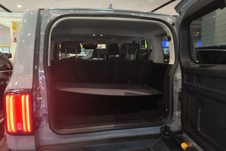 Used Tank 300 2021 City Edition 2.0T—Truly Stylish Trunk