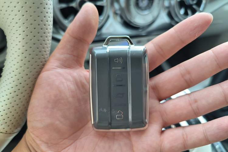 Used Tank 300  Vehicle Key