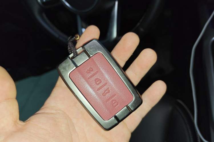 Used Tank 300 2021 City Edition 2.0T—Truly Stylish Vehicle Key