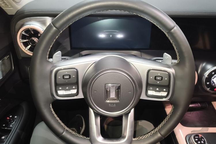 Used Tank 300 2021 City Edition 2.0T—Truly Stylish Steering Wheel