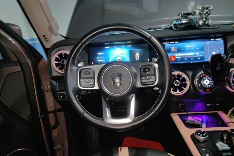 Used Tank 300 2021 City Edition 2.0T—Truly Stylish Steering Wheel