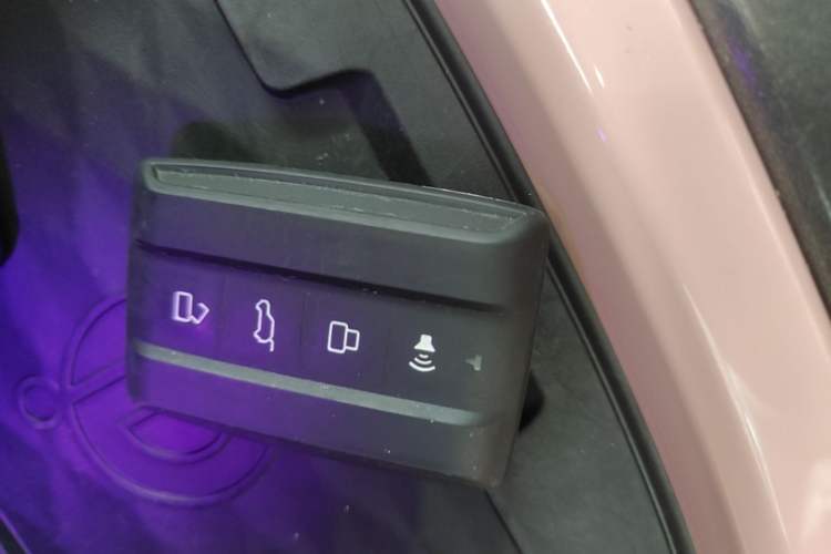 Used Tank 300 2021 City Edition 2.0T—Truly Stylish Vehicle Key