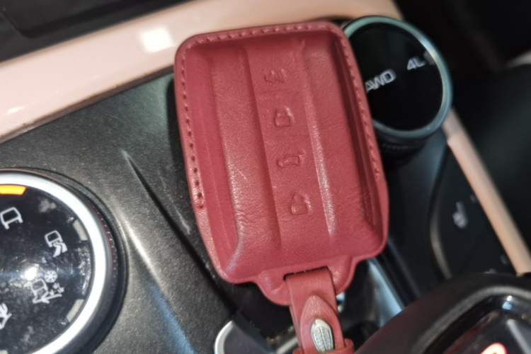 Used Tank 300 2021 City Edition 2.0T—Truly Stylish Vehicle Key