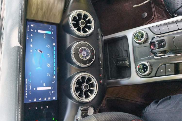 Used Tank 300 2021 City Edition 2.0T—Truly Stylish Audio And AC Panel
