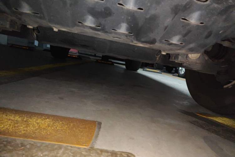 Used Tank 300 2021 Off-Road Edition 2.0T Conqueror Chassis Front