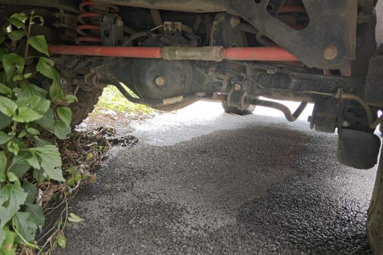 Used Tank 300 2021 Off-Road Edition 2.0T Challenger Chassis Rear