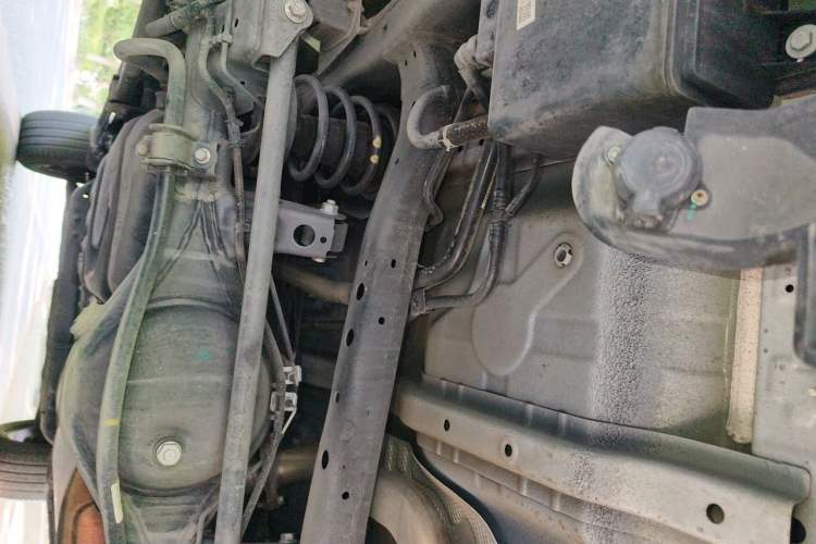 Used Tank 300 2021 City Edition 2.0T—Truly Stylish Chassis Rear