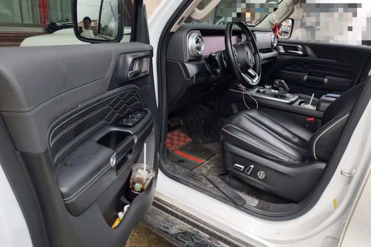 Used Tank 300 2021 Off-Road Edition 2.0T Conqueror Driver Seat