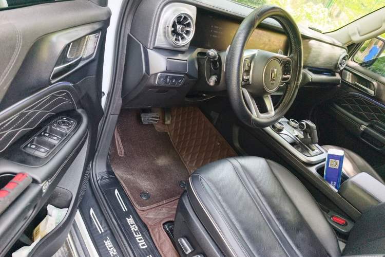 Used Tank 300 2021 City Edition 2.0T—Truly Stylish Driver Seat