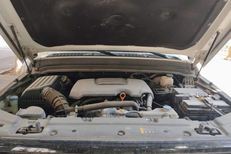 Used Tank 300 2021 Off-Road Edition 2.0T Conqueror Engine Bay