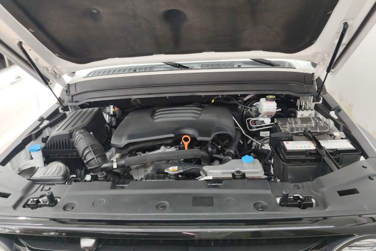 Used Tank 300 2021 Off-Road Edition 2.0T Conqueror Engine Bay