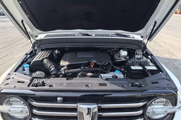 Used Tank 300 2021 City Edition 2.0T—Truly Stylish Engine Bay