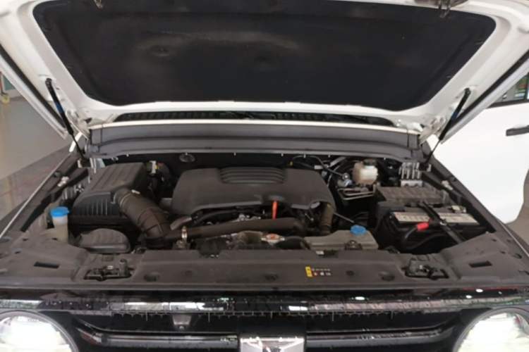 Used Tank 300 2021 Off-Road Edition 2.0T Conqueror Engine Bay